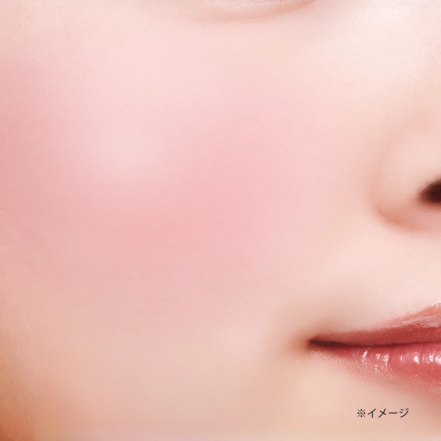 CANMAKE Gradation Cheeks [New] - Image 8
