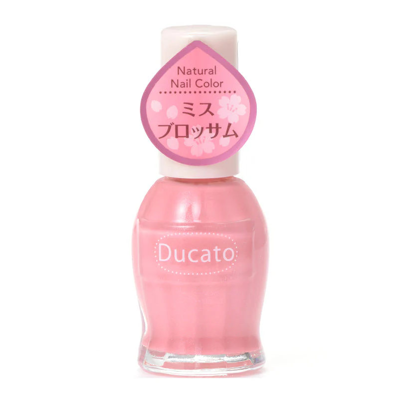 Ducato Natural Color - Image 37