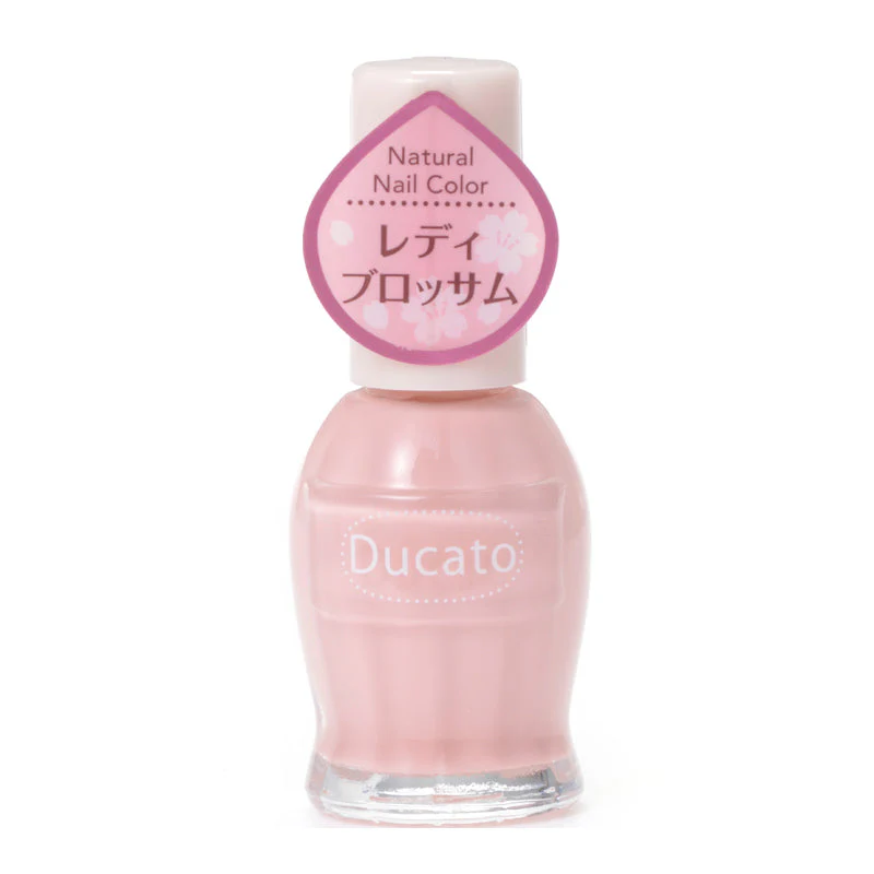 Ducato Natural Color - Image 38