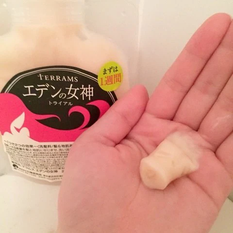 石澤研究所 Terrams 深層無泡秀髮洗潤修護素 280g - Image 2