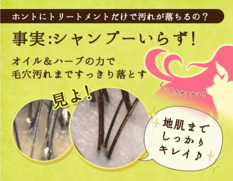 石澤研究所 Terrams 深層無泡秀髮洗潤修護素 100g - Image 3