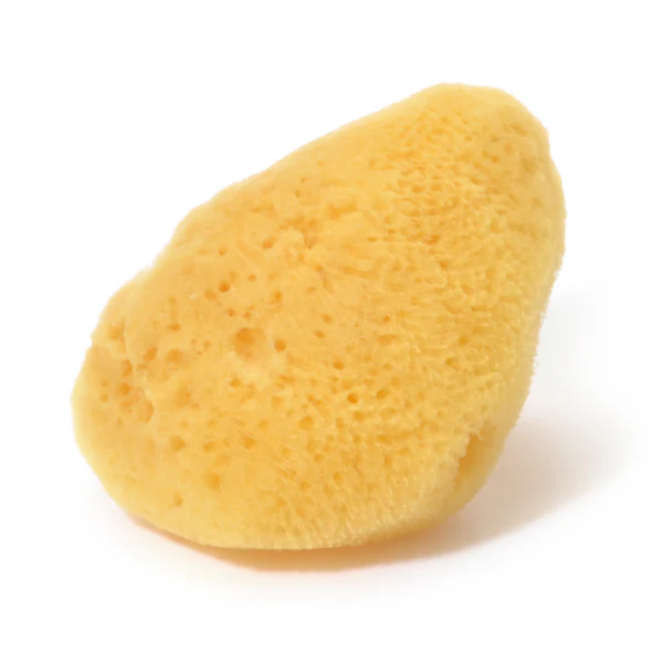 ROSY ROSA Natural Sea Sponge M - Image 2